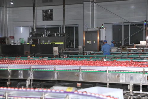 貴陽(yáng)好彩頭食品新增生產(chǎn)線正式投產(chǎn)